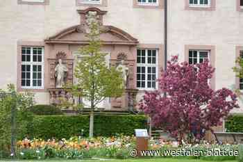 Tulpenblüte lädt ein in den Remtergarten Corvey