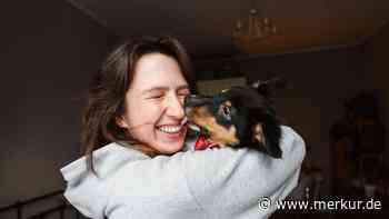 Hund schnüffelt ausgiebig an Frauchen – was es mit dem Begrüßungsritual auf sich hat