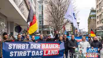 Angebliche Randale auf Thailand-Insel: AfD-Politiker kurzzeitig in Polizeigewahrsam