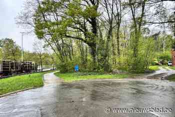 Stad Genk en Wonen in Limburg willen nieuwe wijk met 112 woningen: “Ideale plek om te wonen”