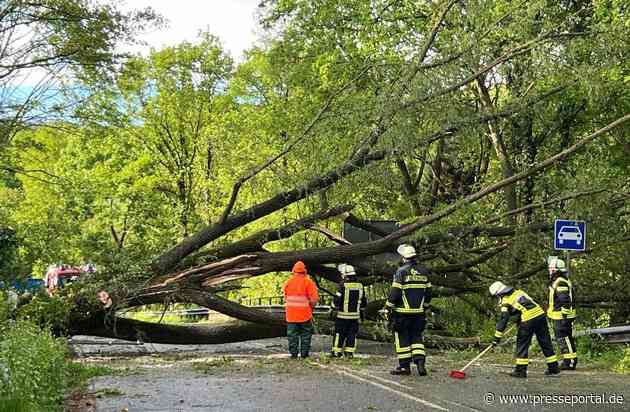 FW Königswinter: Sturmböen sorgen auch in Königswinter für zahlreiche Einsätze