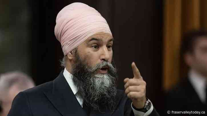 Singh defends NDP carbon price position — without directly supporting a consumer levy