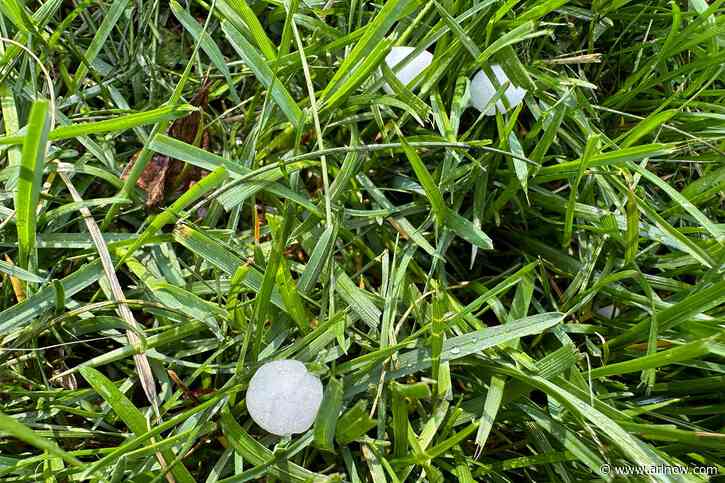 UPDATE: Hail falls on much of Arlington amid Severe Thunderstorm Warning