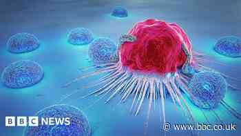 New £2.5m funding to treat blood cancer cells