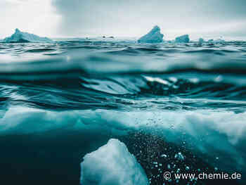 Winzige Plastikteilchen finden sich überall