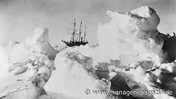 Resilienz und Karriere: Wie Führungskräfte mit Krisen und Unvorhergesehenem umgehen sollten