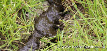 De derogatie moet terug, desnoods enkel op grasland