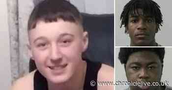 Gordon Gault: Bid to get teen's machete killers locked up for longer fails