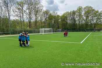 Succesvolle voetbalstage Breeven: “Op het einde volkslied gezongen in Nederlands en Frans”