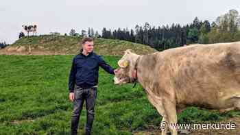 Landwirt sichert Hof mit eigener Molkerei