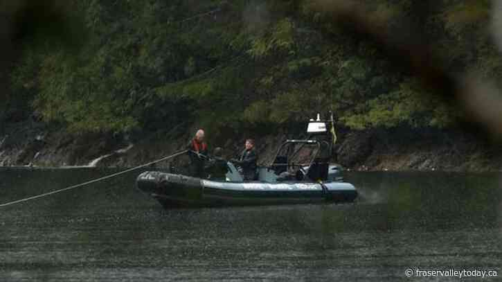 Planning next bid to rescue B.C. orca calf will take ‘few days’: Fisheries Department