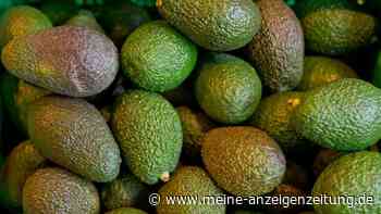Avocado-Boom in Deutschland - Import mehr als verfünffacht