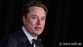 Musk will neue X-Nutzer für Posts zahlen lassen