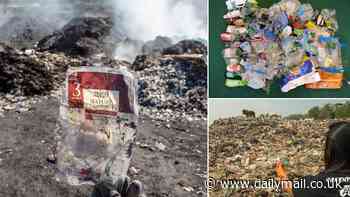 The shocking extent of Britain's plastic crisis: 1.7 BILLION pieces of rubbish are thrown away by UK households every week, study reveals