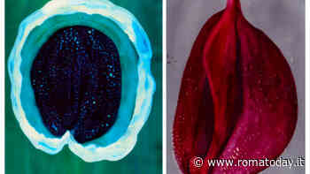 Inaugurazione mostra "Semi. La vita in attesa" di Lucia Scuderi