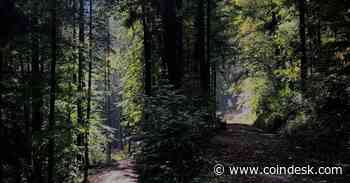 Tether, Circle Diverge on How to Tackle Global Patchwork of Stablecoin Rules