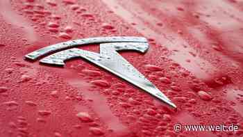 3000 Stellen in Grünheide betroffen? Tesla widerspricht