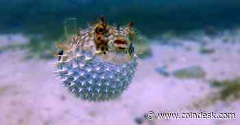 Liquid Restaking Protocol Puffer Raises $18M, Led by Brevan Howard, Electric Capital