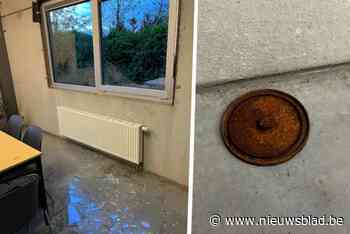 Man gooit raam in van bedrijf, buurtbewoners hadden al verdacht figuur opgemerkt