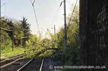 c2c train delays expected all day after fallen tree damage