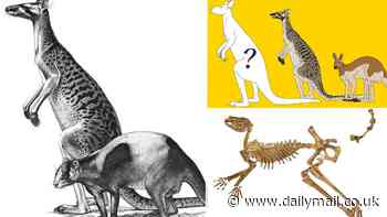 Giant kangaroo twice the size of a human roamed Australia 5 million years ago, study reveals