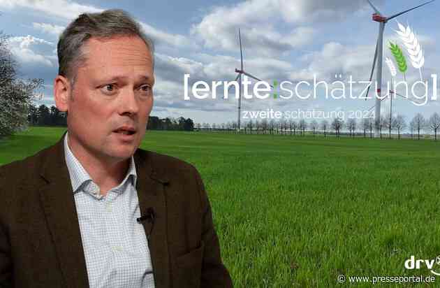 Zweite DRV-Ernteschätzung 2024 / Aussetzung der Stilllegungspflicht kommt für Getreide zu spät