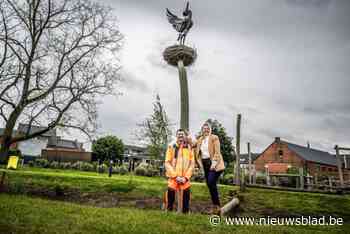 Dan toch nog: controversiële kraanvogel eindelijk geplaatst in speeltuin ’t Kraanhof in Tessenderlo