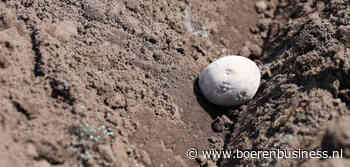 Pootgoedcrisis naar een kookpunt