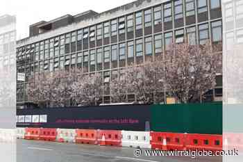Plea to save trees near Wirral town hall's north annexe fails