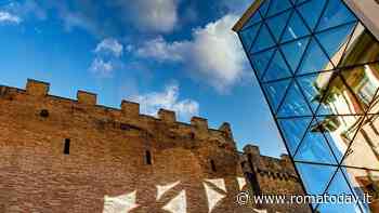 Università Lumsa premia Citrus, l'Orto italiano di Marianna Palella innovativo e sostenibile