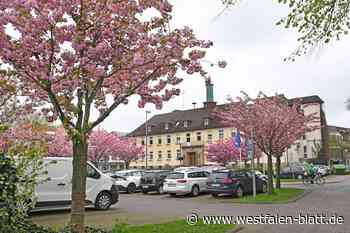 Die Sanierung des Rathauses in Bad Lippspringe kann beginnen