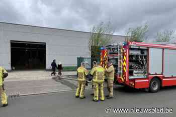 Brandweer massaal ter plaatse voor brand in silo in schrijnwerkerij