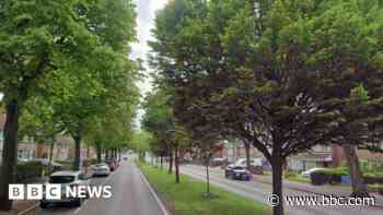 Woman bitten as she intervened in XL bully attack