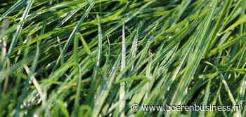 Het wil nog geen voorjaar worden in de voerhandel