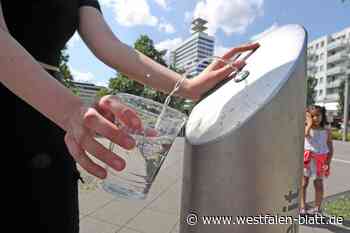 Neuer Wasserspender auf dem Neustadtmarkt in Warburg