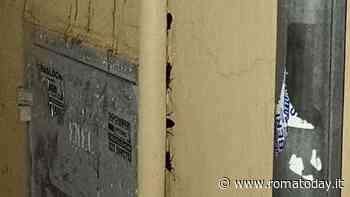 A Torpignattara torna l'allarme blatte: "Arrivano dai tombini e salgono verso le abitazioni"