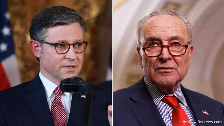 Mike Johnson calls out Dems for appeasing 'pro-Hamas' wing as anti-Israel protesters burn American flag