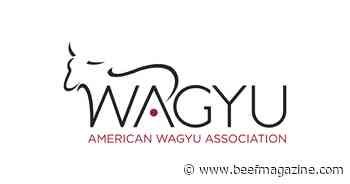 Announcement of new executive director at the American Wagyu Association