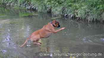 Nach Brand in Braunschweig: Stadt warnt vor Wasser aus Flüssen