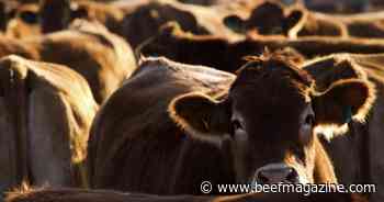 LMIC, Farm Bureau call for USDA-NASS reconsideration of report cuts