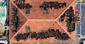 Home insurance claims surge as Storm Babet and others wreak havoc on properties