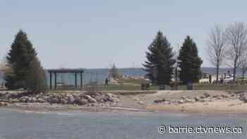 Petition to allow alcohol in Collingwood parks