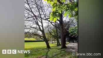 Warning after live ammunition found in riverbank