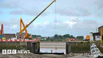 Survival fight over sea gate costs - port authority