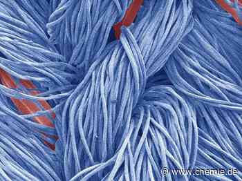 Wasserabweisende Fasern ohne PFAS