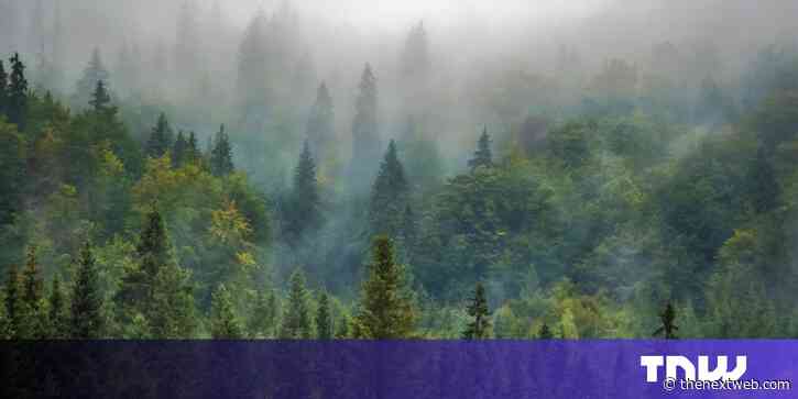 Tree-planting search engine Ecosia to monitor reforestation from space