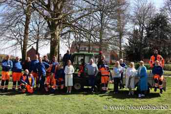 Bye Bye Gazon geeft insecten meer ruimte op openbaar domein: “Ook inwoners kunnen meedoen”