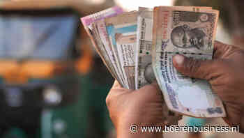 Roepie: van breekbare munt tot supervaluta