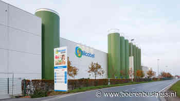 Milcobel houdt melkprijs voor april stabiel