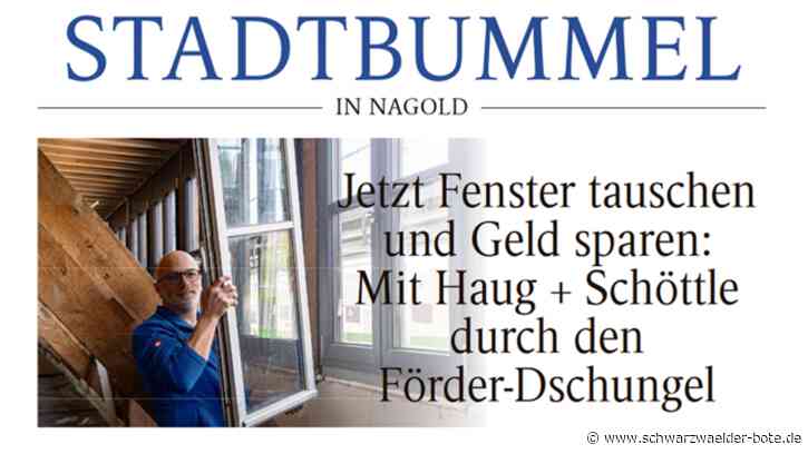 Anzeige : Jetzt Fenster tauschen und Geld sparen: Mit Haug + Schöttle durch den Förder-Dschungel